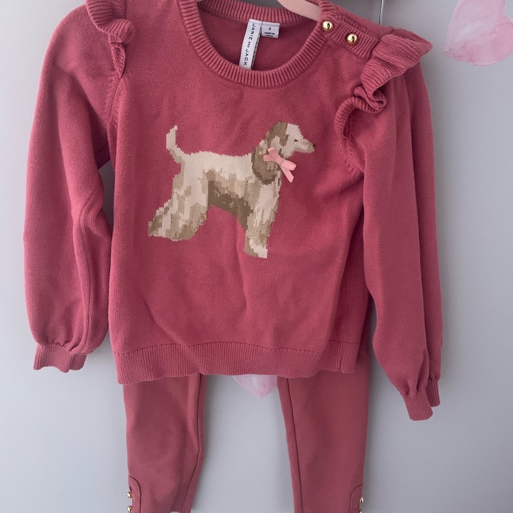 Gorgeous Janie and Jack sweater set